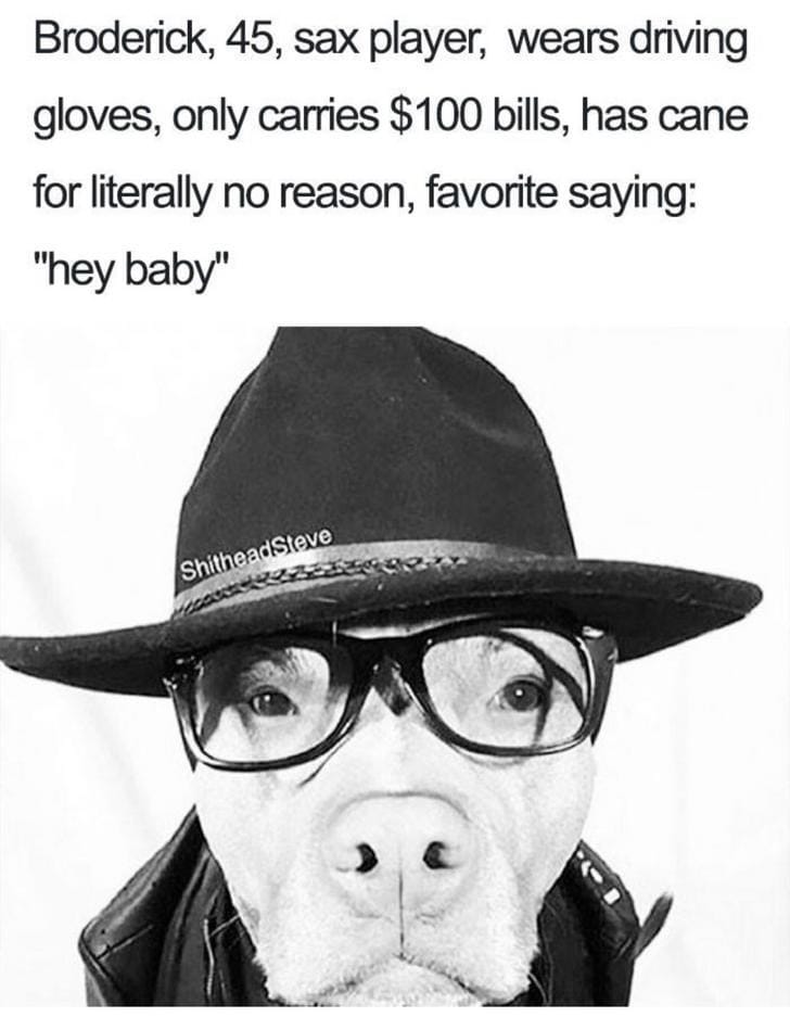 What If Humans Were Dogs?