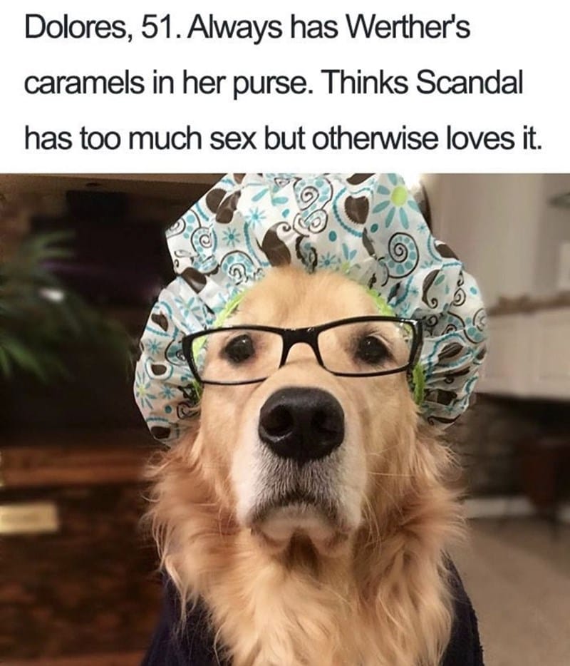 What If Humans Were Dogs?
