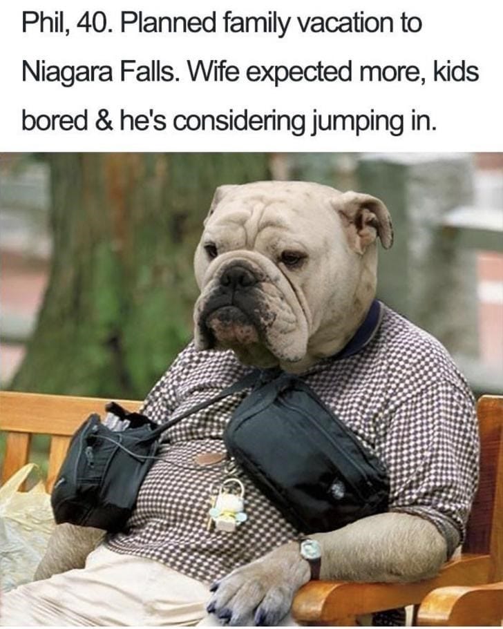 What If Humans Were Dogs?