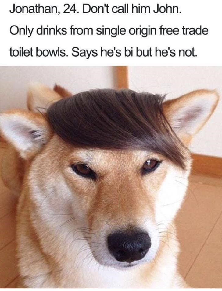 What If Humans Were Dogs?