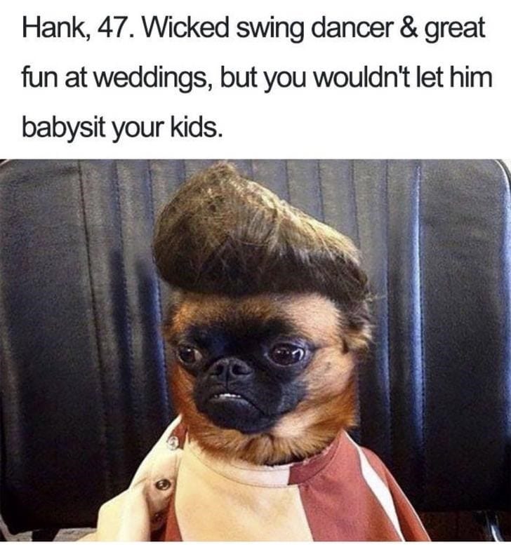 What If Humans Were Dogs?