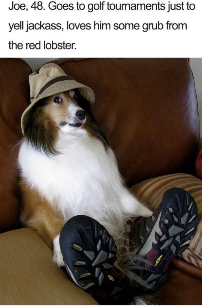 What If Humans Were Dogs?