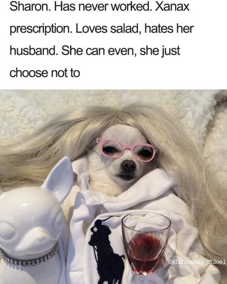What If Humans Were Dogs?