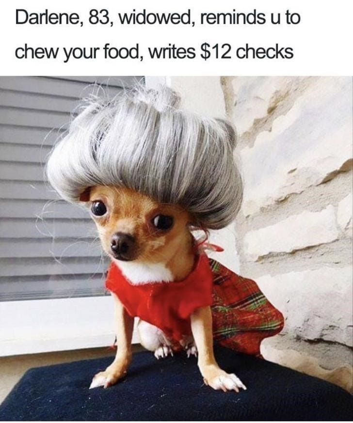 What If Humans Were Dogs?