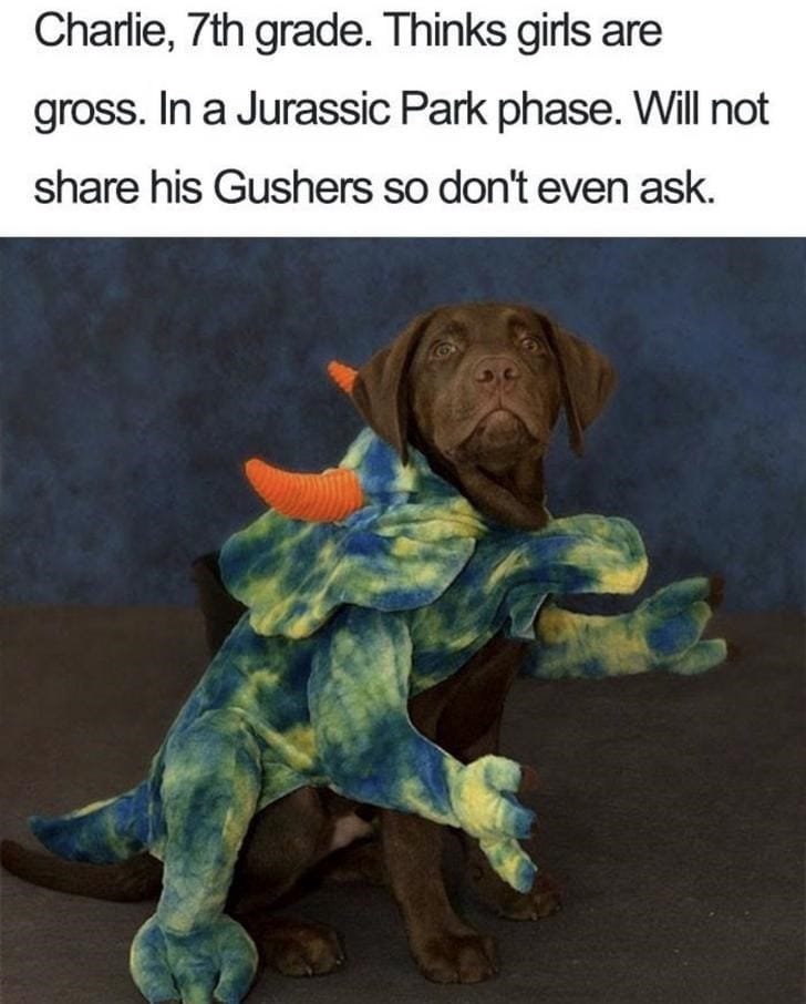 What If Humans Were Dogs?