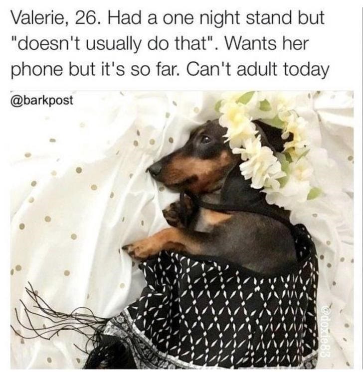 What If Humans Were Dogs?