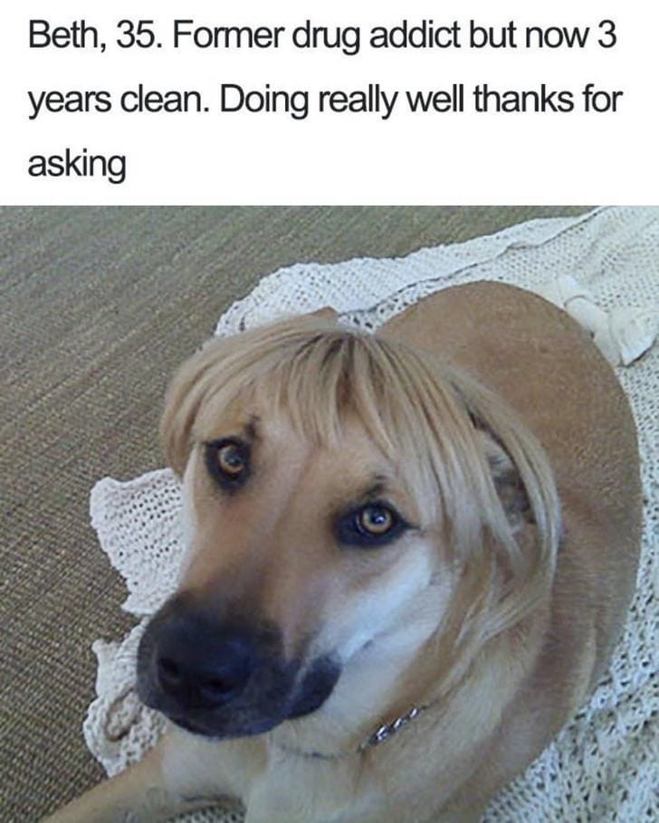 What If Humans Were Dogs?