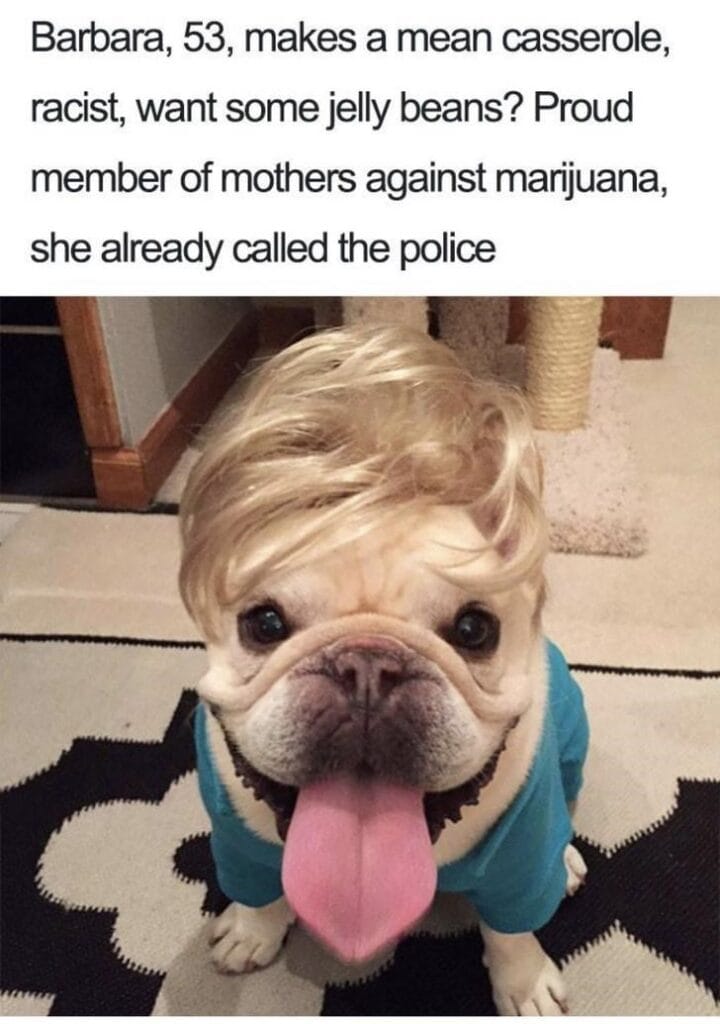 What If Humans Were Dogs?