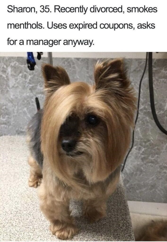What If Humans Were Dogs?