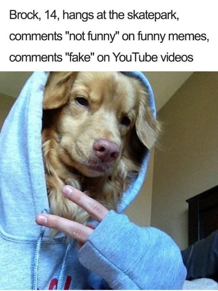 What If Humans Were Dogs?