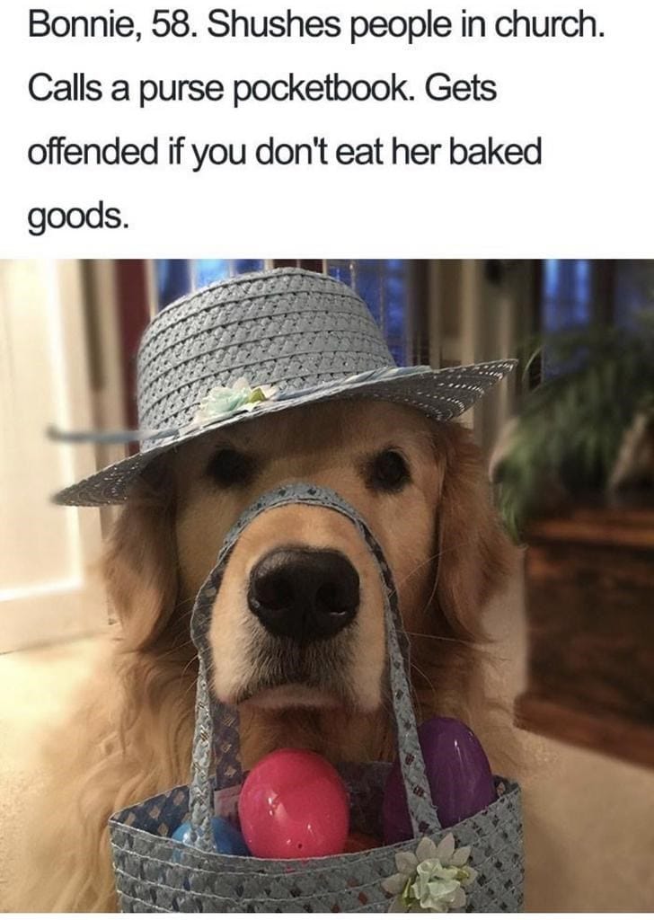 What If Humans Were Dogs?