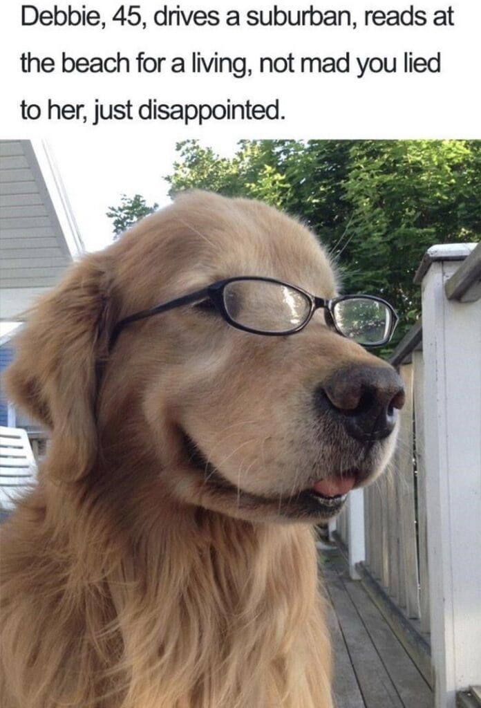 What If Humans Were Dogs?